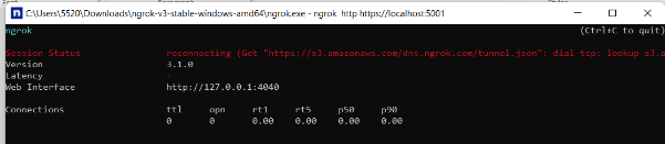 Testing local project with ngrok