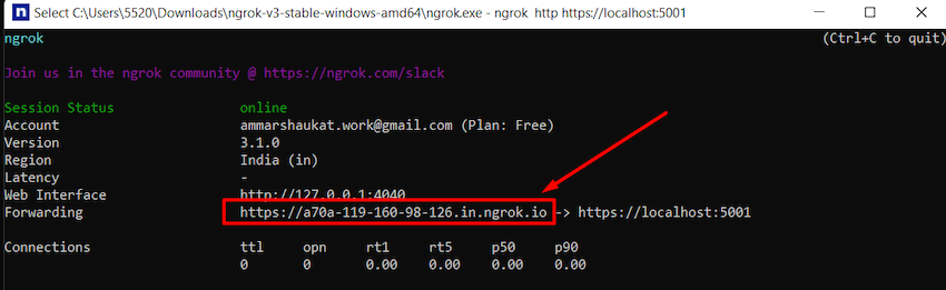 Ngrok For Absolute Beginners
