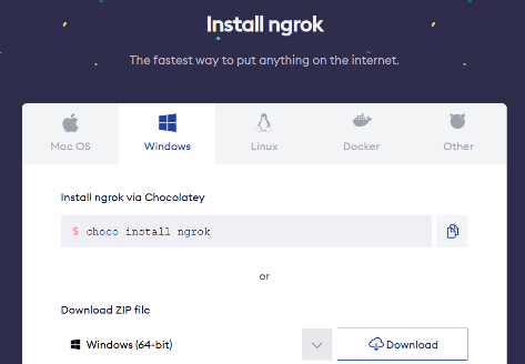 Testing local project with ngrok