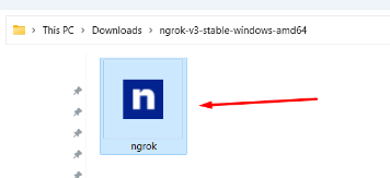 Testing local project with ngrok