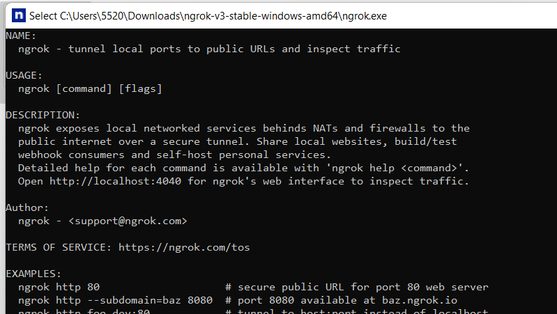 Ngrok For Absolute Beginners