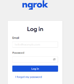 Testing local project with ngrok
