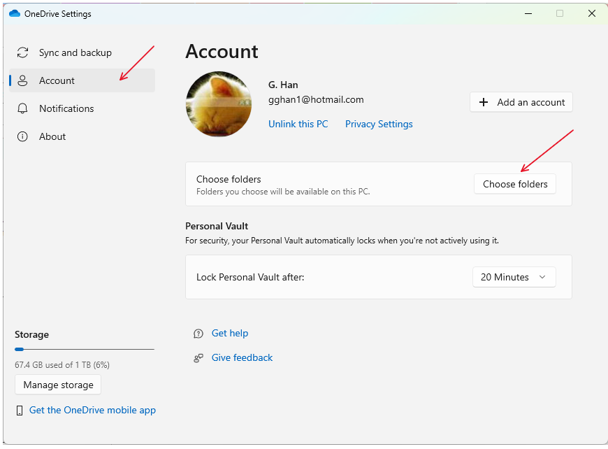 Click Account => Click Choose Folders: