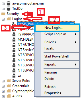 Oqtane Blazor CMS And Configurations