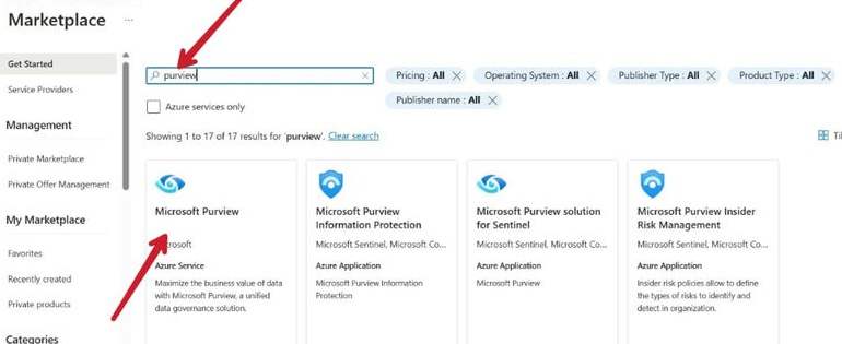 Microsoft Azure Purview