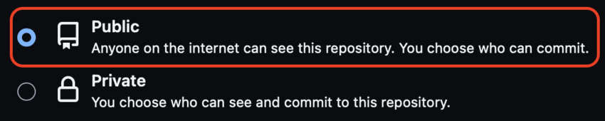 public personal website