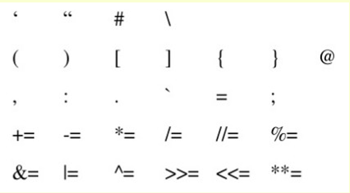 python_punctuators