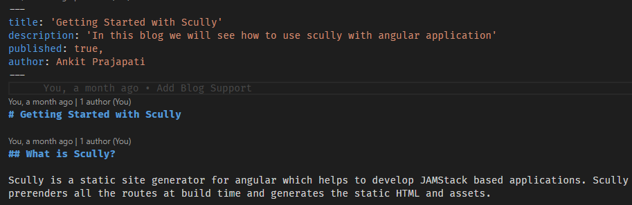 Blog Author Meta Details