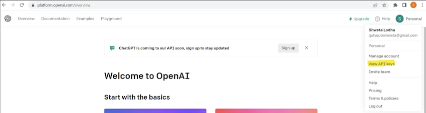 Get OpenAPI Key