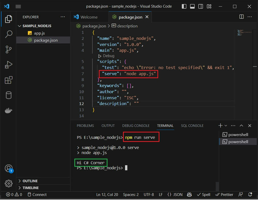 Set Up The Node Environment and Run a Simple Node Server Project