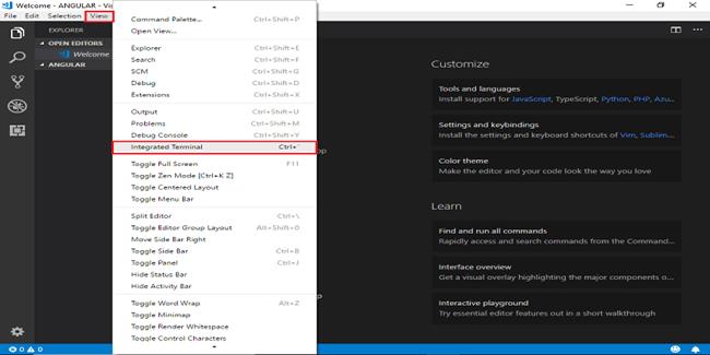 Setting Up Angular 7 Development Environment