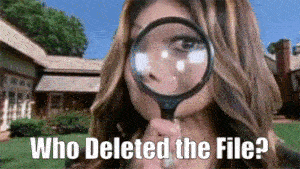 Solving the Mystery - Who deleted that file