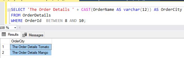 SQL Cast And Convert Statement