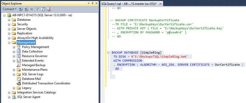 SQL Server 2014 Database Backup - Encryption