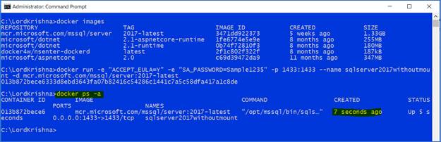 SQL Server 2017 Docker Container And Web API In .Net Core