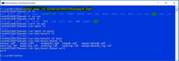 SQL Server 2017 Docker Container And Web API In .Net Core