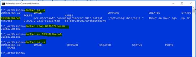 SQL Server 2017 Docker Container And Web API In .Net Core
