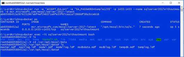 SQL Server 2017 Docker Container And Web API In .Net Core