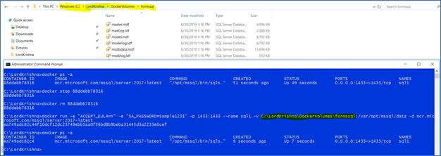 SQL Server 2017 Docker Container And Web API In .Net Core
