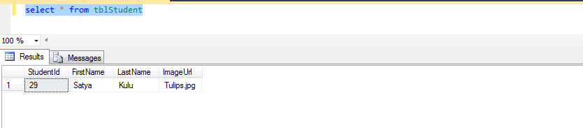 Store Photo In Backend Using Entity Framework In MVC Razor And Bootstrap