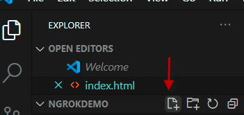 Teams Application Testing With Ngrok