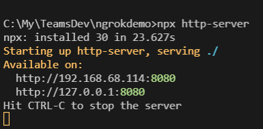 Teams Application Testing With Ngrok