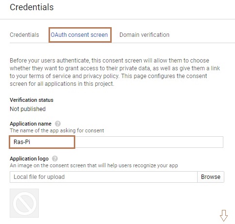 DIY Google AI Assistant using a Raspberry Pi