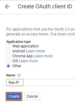 DIY Google AI Assistant using a Raspberry Pi