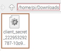 DIY Google AI Assistant using a Raspberry Pi