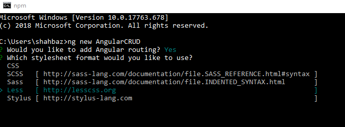 Angular 8 CRUD With Oauth2.0 In WebAPI