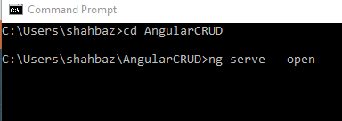 Angular 8 CRUD With Oauth2.0 In WebAPI
