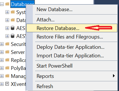 Import Database From bacpac And bak File In SQL Server