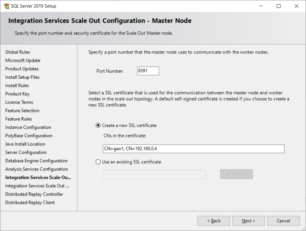 SQL Server Installation: 2019 Developer Edition --- Custom