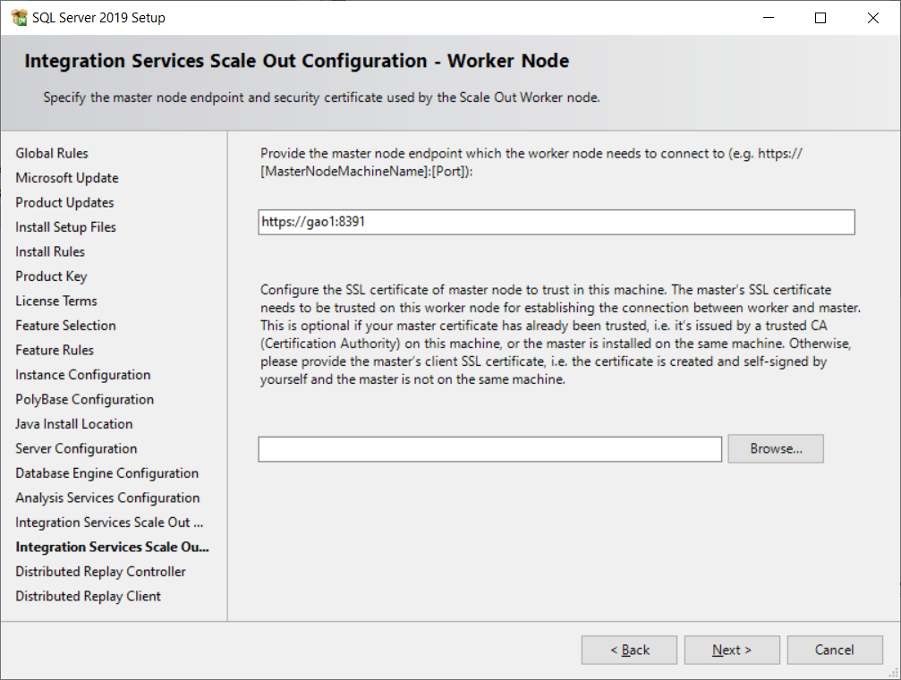 SQL Server Installation: 2019 Developer Edition --- Custom