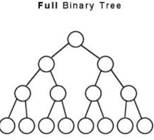 Tree Data Structure