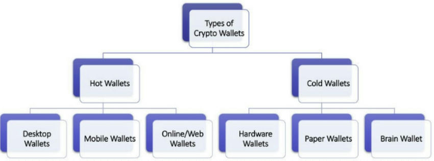  Crypto Wallets