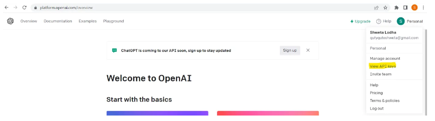 Use Your Own Files To Get Response From GPT Like ChatGPT | Python