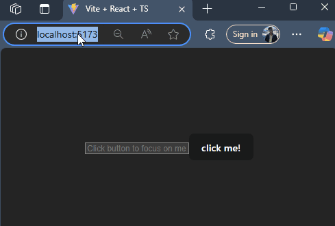 inputRef.current?.focus()