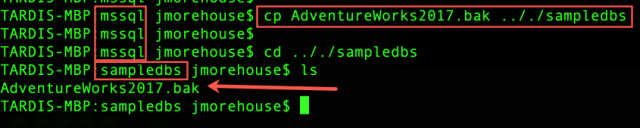 Using Docker Volumes For SQL Server In Linux