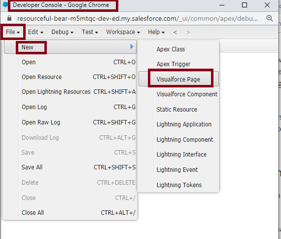Visualforce pages In SalesForce