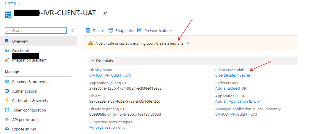 Web API in Azure (2), Set a Client Credential Secret
