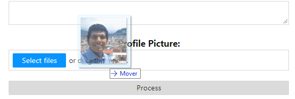 Web Forms With DotVVM Business Pack