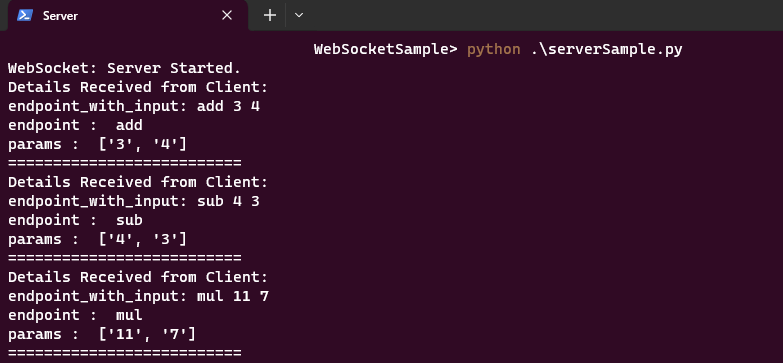 WebSocket Communication Using Python