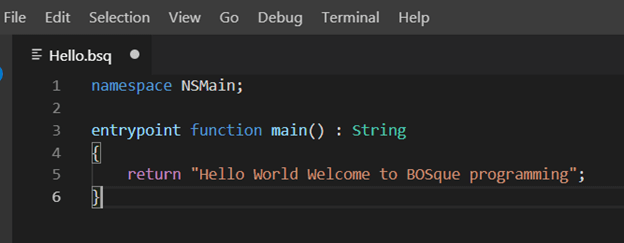 Introduction To Bosque Programming Language😍