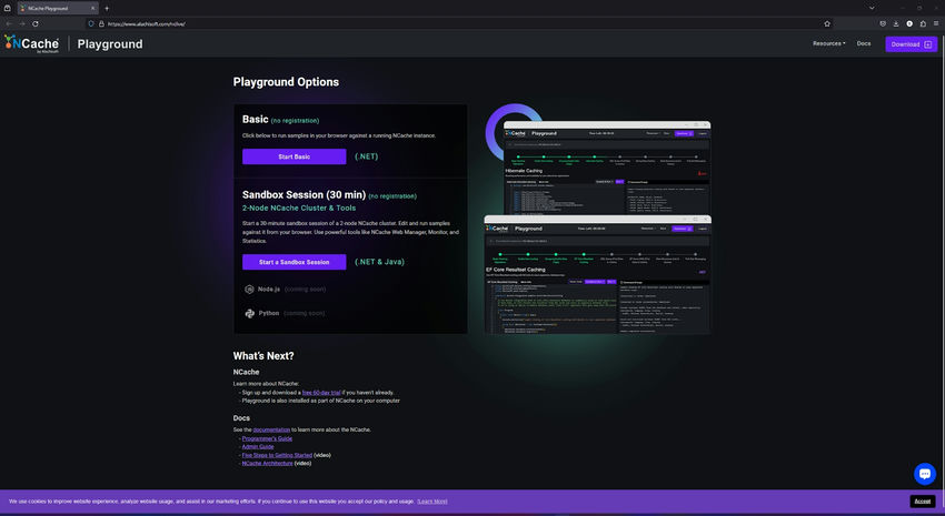 NCache Playground options