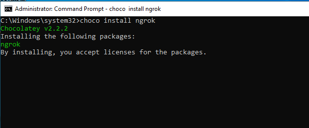 What is Ngrok and How to Use it?