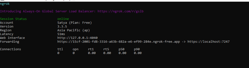 What is Ngrok and How to Use it?