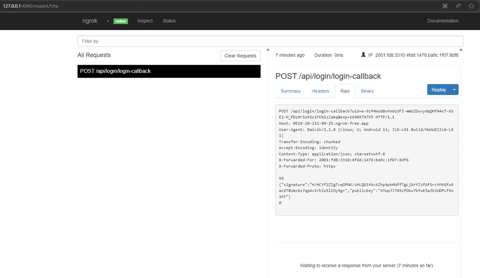 What is Ngrok and How to Use it?