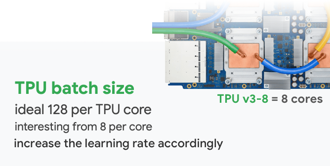 TPU Batch size