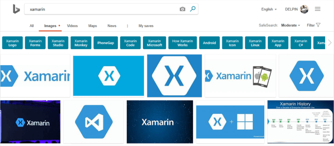 Xamarin.Forms - Bing Image Search Using Cognitive Service